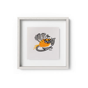 50-50 Outcast Orange Study